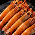 New Zealand Scampi (Langoustine)